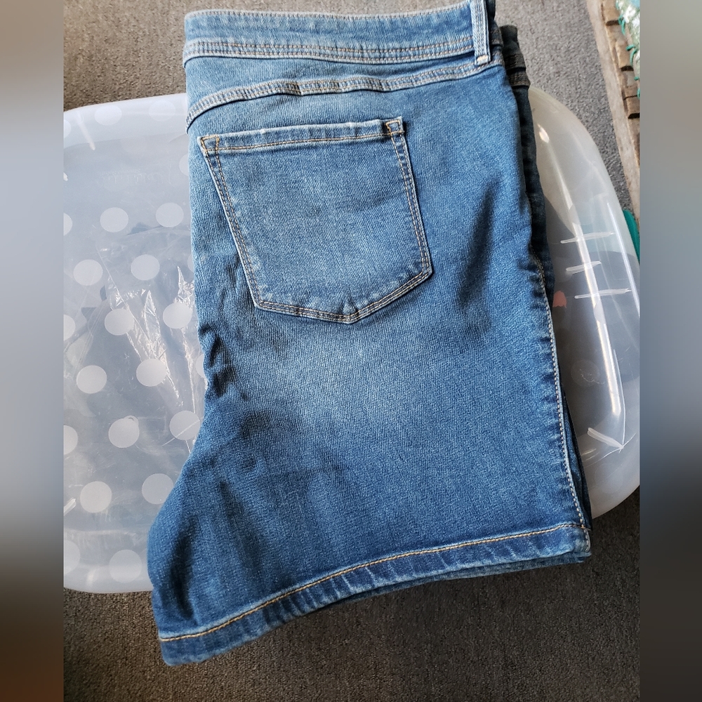 Torrid shorts